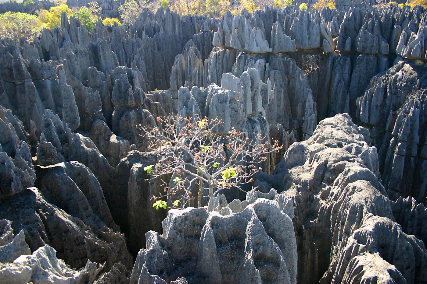 Tsingy De Bemaraha National Park – 04